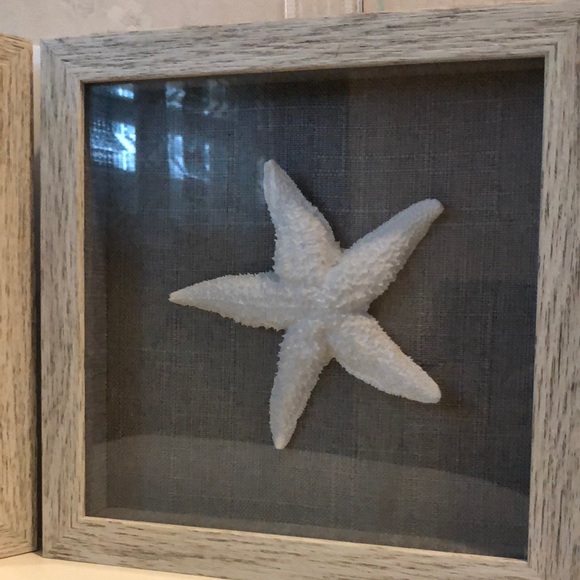 Coastal Shadow Box Set with White Sea Life Accents - Picture 3 of 3